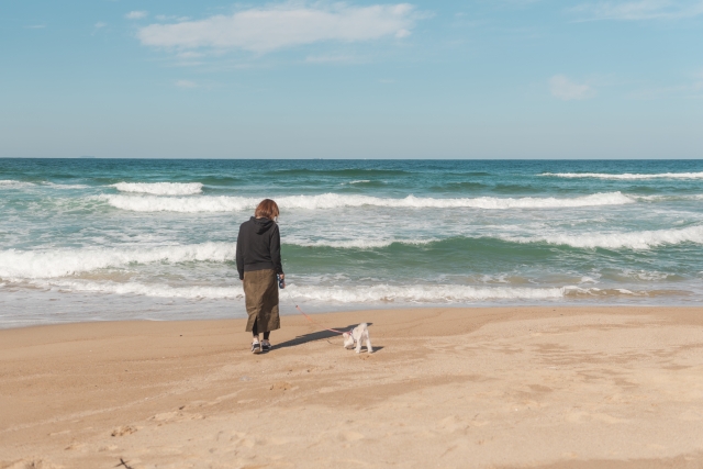 海で散歩する女性
