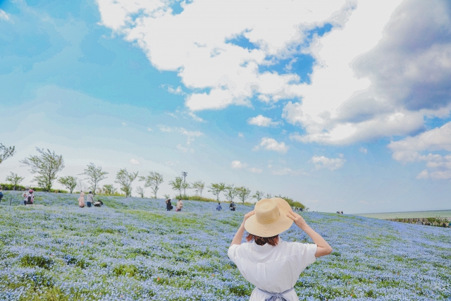 花畑で風に吹かれる女性